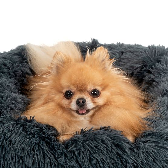 PANIER POUR CHIEN CHAT PJ-005 GRIS FONCÉ XL