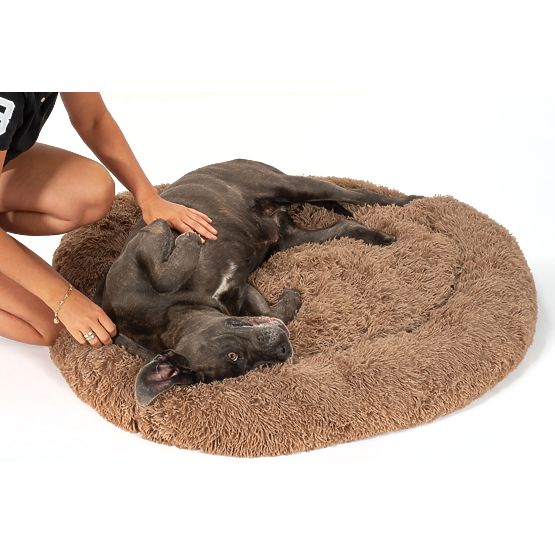 PANIER POUR CHIEN CHAT PJ-012 MARRON XL
