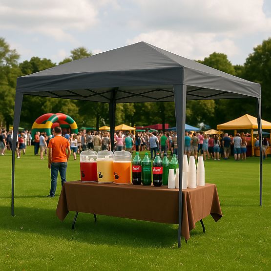 Pavillon de jardin 3x3 m auvent automatique pour terrasse MultiGarden