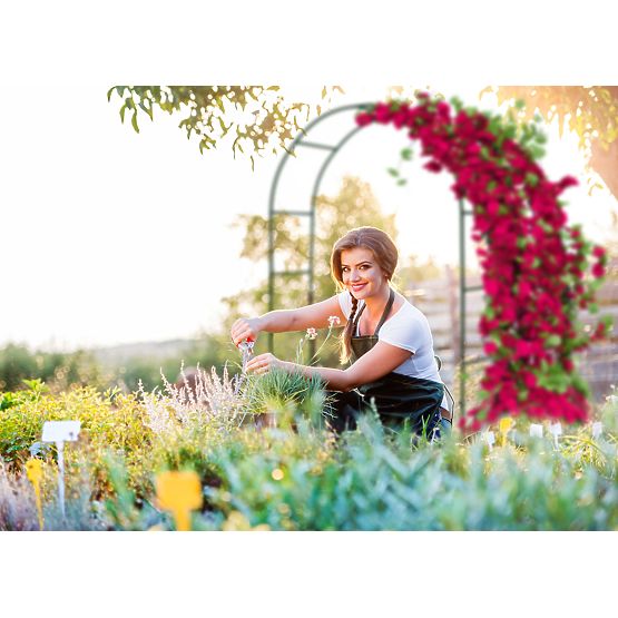 Pergola en métal en arc noir 240 cm