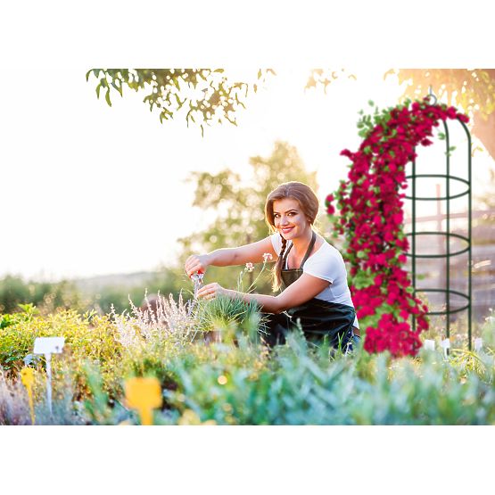 Pergola en métal poteau vert foncé 190 cm