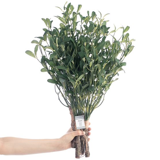 Plante artificielle PLANTI couleur verte style moderne ameliahome