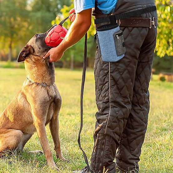 Sac à friandises pour chien MAILO bleu