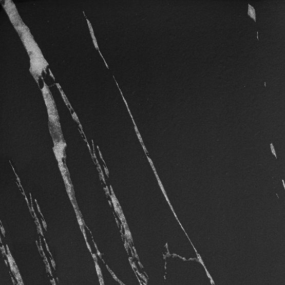 Support de fleurs Mogren marbre noir