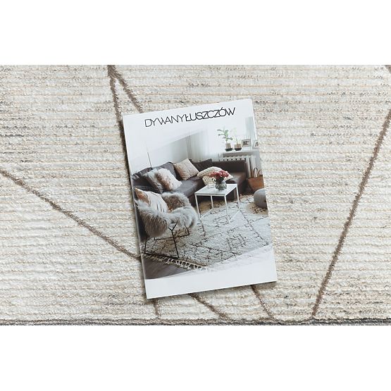 Tapis BLISS Z201Z128 crème / beige - Cadre, géométrique, moderne, structurel