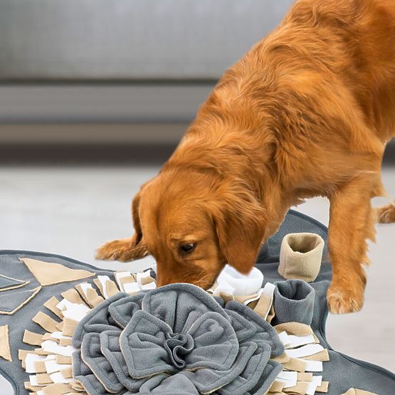 TAPIS DE RENIFLEMENT POUR CHIEN PJ-028