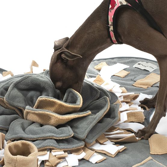 TAPIS DE RENIFLEMENT POUR CHIEN PJ-028