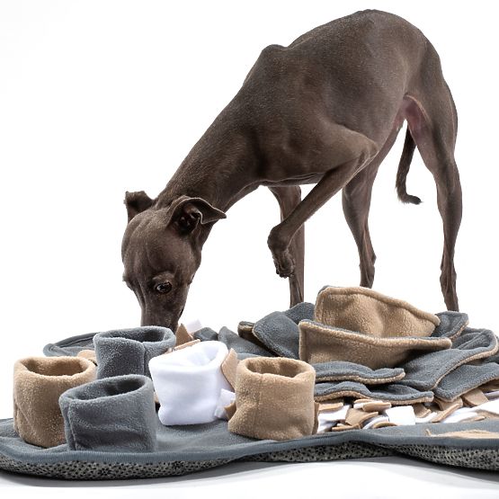 TAPIS DE RENIFLEMENT POUR CHIEN PJ-028