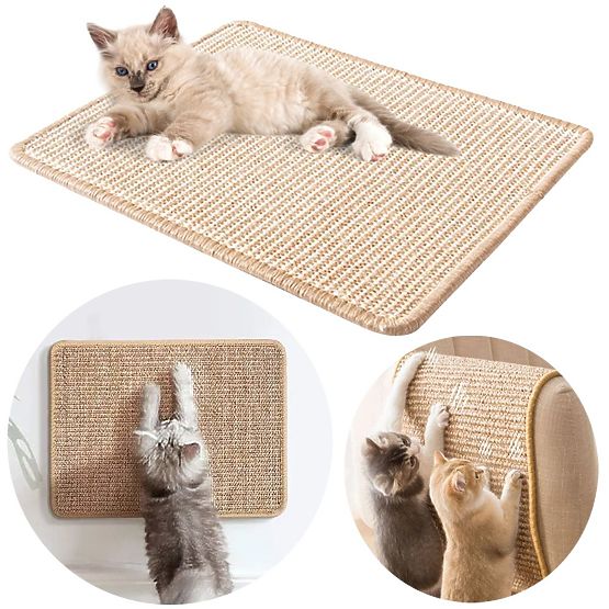 TAPIS GRATTOIR POUR CHAT 60x40cm 332494