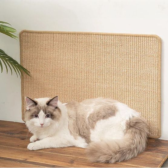 TAPIS GRATTOIR POUR CHAT 60x40cm 332494