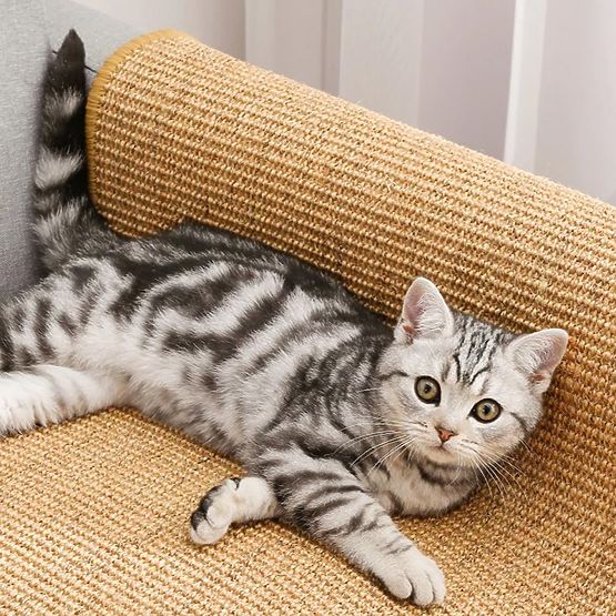 TAPIS GRATTOIR POUR CHAT 60x40cm 332494