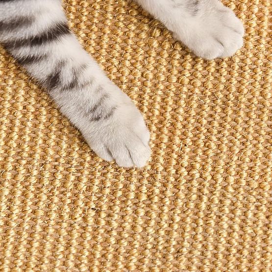 TAPIS GRATTOIR POUR CHAT 60x40cm 332494