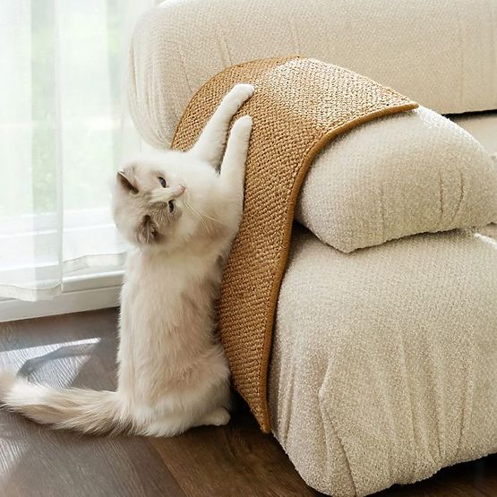 TAPIS GRATTOIR POUR CHAT 60x40cm 332494