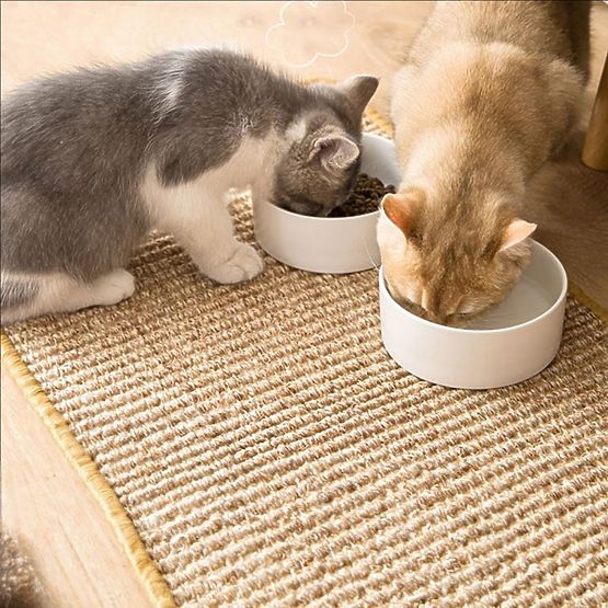 TAPIS GRATTOIR POUR CHAT 60x40cm 332494