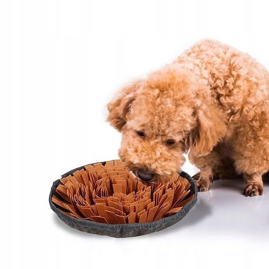 TAPIS OLFACTIF POUR CHIEN PJ-095