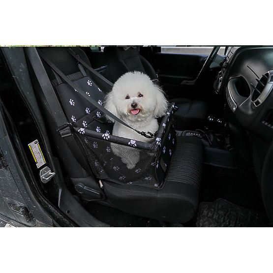 Transporteur pour animaux chats chiens