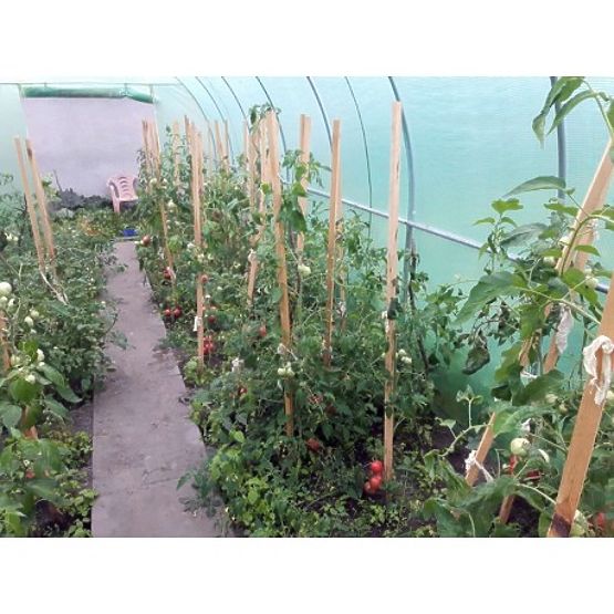 Tunnel en film - serre de jardin - 3x6 m