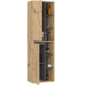 ARMOIRE DE SALLE DE BAIN SUSPENDUE VAMI W50 2D 6P CHÊNE ARTISAN / GRIS GRAPHITE