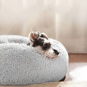 COUSSIN POUR CHIEN CHAT PJ-015 GRIS CLAIR XL