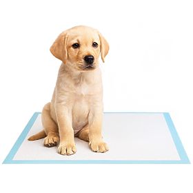 Coussins hygiéniques pour animaux BARRY 60x90 50 pcs