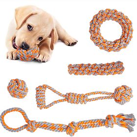 Ensemble de jouets à tirer pour chiens SPANKY 5 pièces