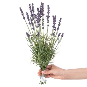 Fleur artificielle LAVI couleur violette style boho ameliahome