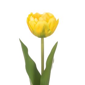 Fleur artificielle TULIPI couleur jaune style moderne ameliahome