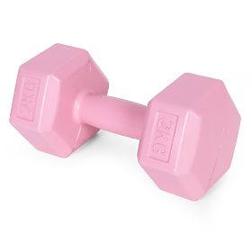 Haltères hexagonaux ensemble de poids 2x2 kg pour fitness rose ModernHome
