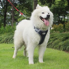 Harnais d'entraînement pour chiens ASTRO bleu taille L