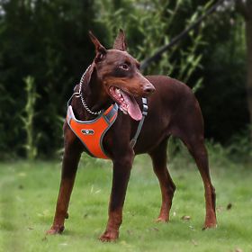 Harnais de marche d'entraînement pour chien ASTRO orange taille XL
