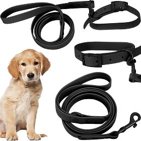 Laisse et collier pour chien PJ-071 noir M, PuppyJoy