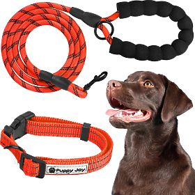 Laisse et collier réfléchissants pour chien PJ-035 rouge