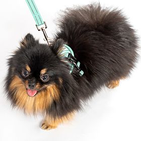 Laisse et harnais pour chien PJ-049 vert XS, PuppyJoy
