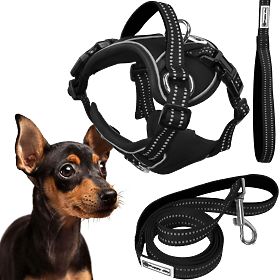 Laisse et harnais pour chien PJ-051 noir S, PuppyJoy