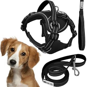 Laisse et harnais pour chien PJ-055 noir M