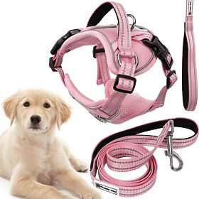 Laisse et harnais pour chien PJ-060 rose L