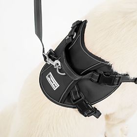 Laisse et harnais pour chien PJ-063 noir XL, PuppyJoy