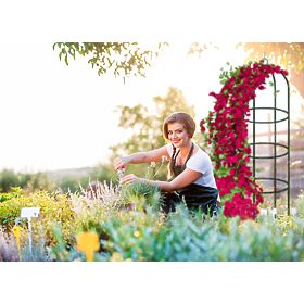 Pergola en métal poteau vert foncé 190 cm