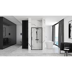 Portes de Douche Rapid Swing 100, Rea