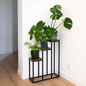 Support pour plantes noir Loren Rustic chêne vieilli